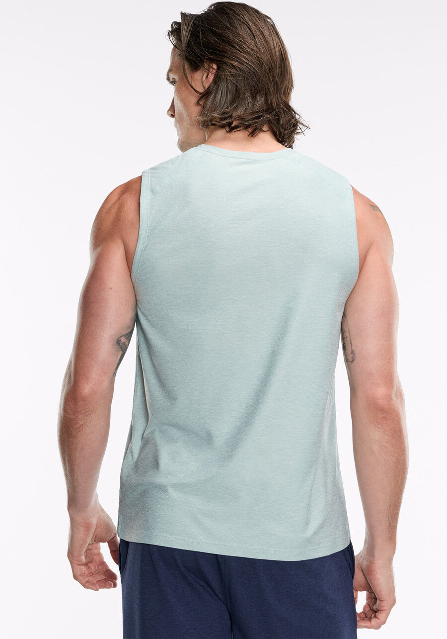dreamblend tank